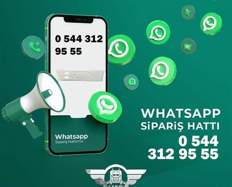 Holleycasino Whatsapp Hattı